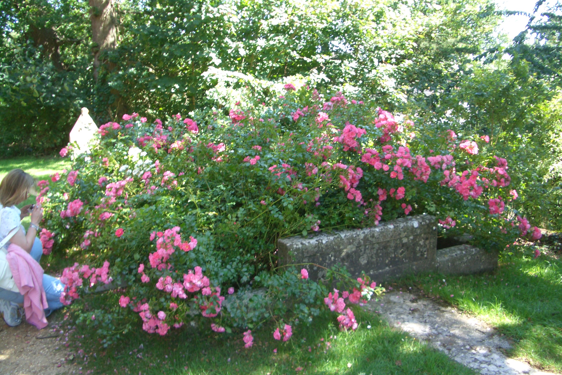 Lyndhurst Alice